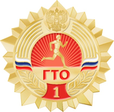 Золотой значок 1 ступень
