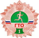 Бронзовый значок 3 ступень
